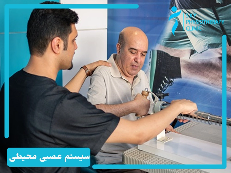 سیستم عصبی محیطی